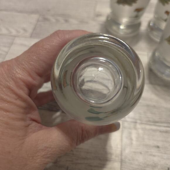 Pfaltzgraff Portfolio Naturewood 8 Oz Glassware Juice Frosted Set Of 4 - Picture 5 of 9